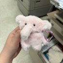 어리버리양꼬치 | 25년 11월일기