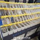 [ SIDEX 2024 ] 국제종합 학술대회 / 치과 기자재 전시회 후기