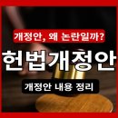 2026 헌법 개정안.국민이 모르는 체제전쟁 이미지