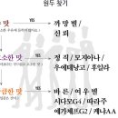 바른청년들