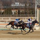 런 스포츠경향