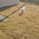 썬웨이 어드벤처 글램핑하우스 이미지