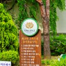 랄라골프 | 충남에 위치한 더힐cc 저렴한 노캐디 충남골프장 대전인근 방문기