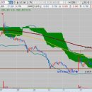 영보전자 이미지