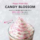 캔디블라썸