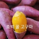 호박 작은 고구마5kg22.000=＞18.000 판매 이미지