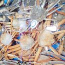 대포횟집 이미지