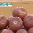 사과(사과장아찌) 이미지