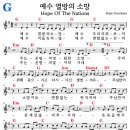 콘티 티스토리