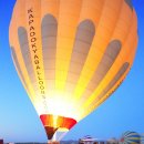 화이트벨리 이미지