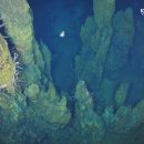 대양자원 이미지