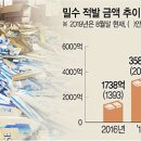 金보석