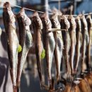 동해진미 이미지