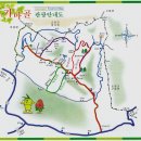 담양-04 Daum카페