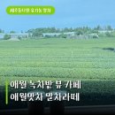 동다원 | 제주 애월 녹차밭 뷰 카페, 제주동다원 유기농 말차라떼