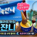 녹쟌니 | 속초 젤라또 맛집 끝판왕🔥 녹쟌니 솔직후기 (속초아이 1분 거리 + 아들인생 첫 젤라또)