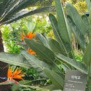 영동유리 이미지