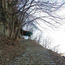 함안 용산리 함안층 새발자국화석 산지 이미지