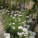 펜션무이 이미지