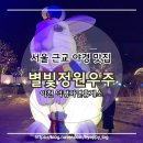 서울 근교 경기도 이천 가볼만한곳 ㅣ별빛정원우주ㅣ덕평자연휴게소 감성테마파크 야간데이트 야경 맛집