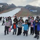 홍천인터넷신문