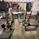 팀레드휘트니스 이미지