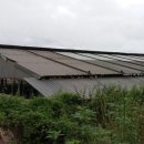 대전축사3 이미지