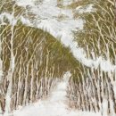 조례호수도서관 이미지