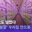 경제농장 이미지