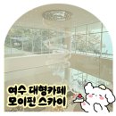바닐라 애견샵 | 여수 대형 카페 오션뷰 모이핀 스카이 | 애완동물 동반❌