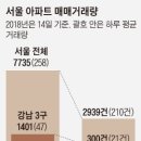 강남-258 이미지