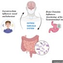피트니스 오름 이미지