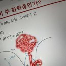 비더블유에프