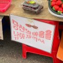 왕지오만두 | 54🚘