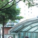 강남더블유의원 이미지