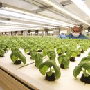 하북2길 이미지