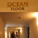 Ocean Floor 이미지