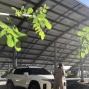 백련세차장 이미지