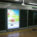 으뜸밝은세상안경 이미지