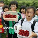 산딸기목장 이미지