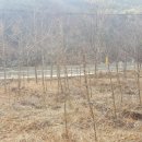 구안농장 이미지