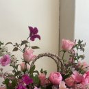 스튜디오로즈데이 네이버블로그