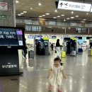 늘소랑목장 | 23개월 아기랑 제주 여행 DAY1, 더시에나프리모 디럭스룸, 수영장 야외 공연