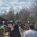 사파리마케팅 | 에버랜드 무료주차장, 워킹사파리 대기 후기