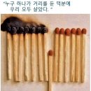 덕수궁 수양벚꽃 이미지