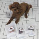 댕스키친 이미지