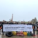 해안컴퍼니 티스토리