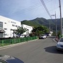 내서읍365 이미지