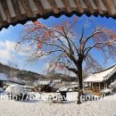 고봉문집목판(빙월당) 이미지