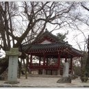 서구-02-29 이미지